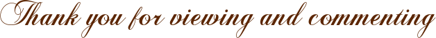 View-comment.png
