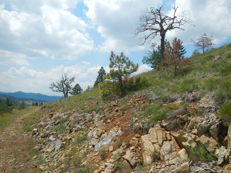 Zlatibor juli 2013 (68)