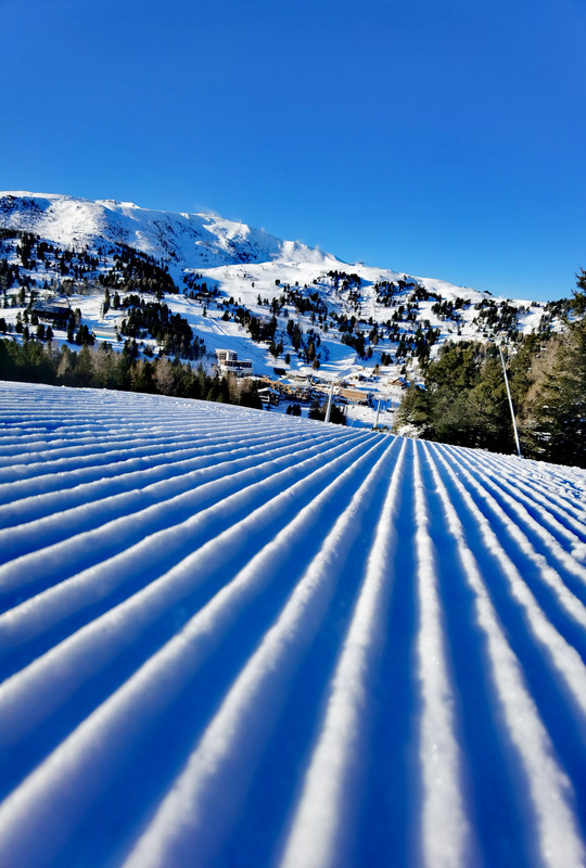 IMG_20231129_091646_edit_2709738203440167