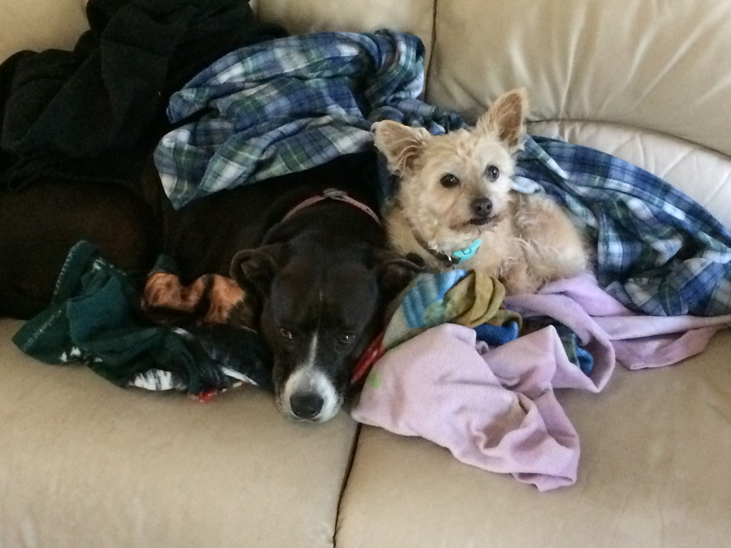 ABD2BDFD-E2BB-49EC-A88F-5B133850F098