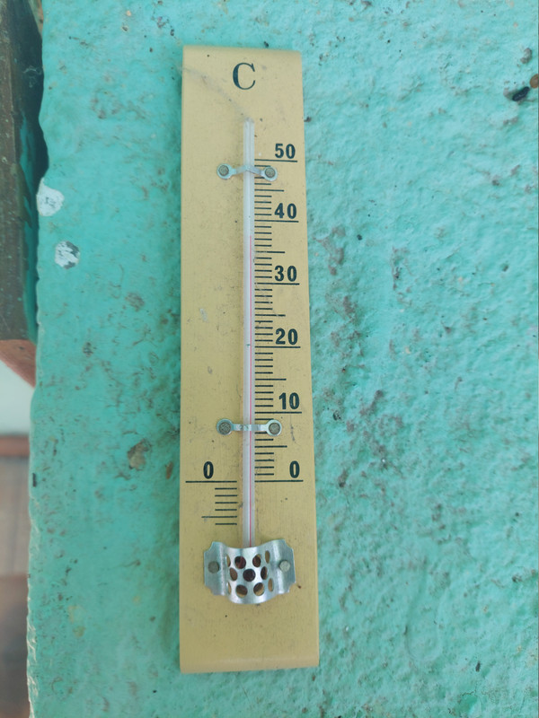 Temp