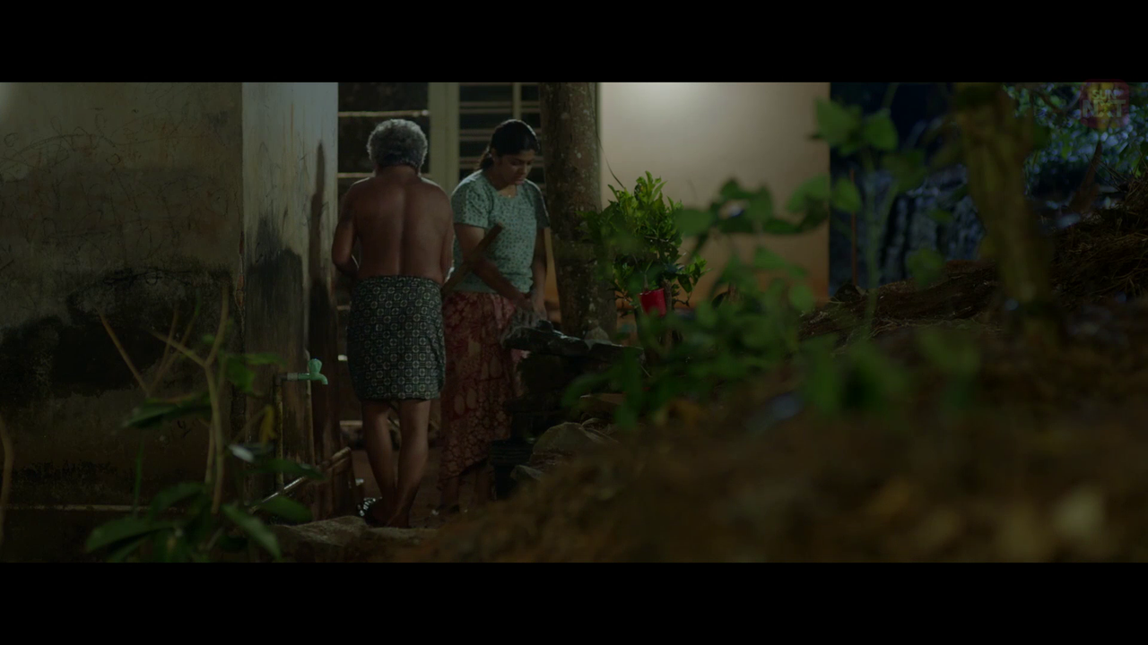 vlcsnap 2026 02 11 15h59m38s736