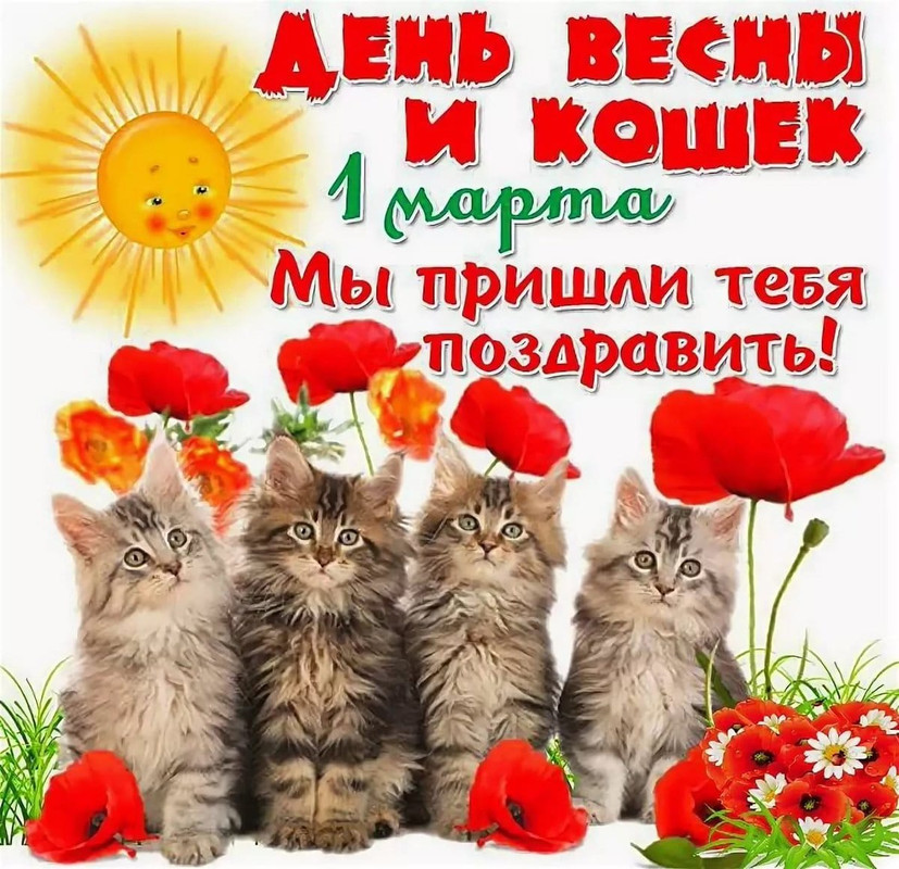 A1321A07-D6A1-49D8-AEA8-63DE38C123D9