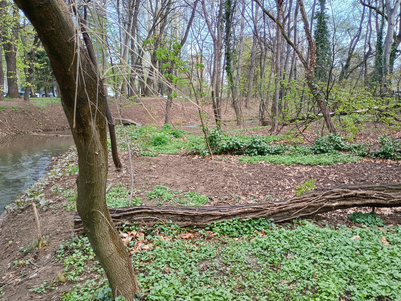 IMG 20260418 110942748 HDR