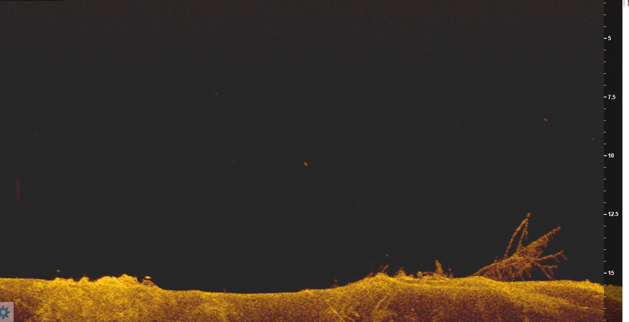 Безымянный