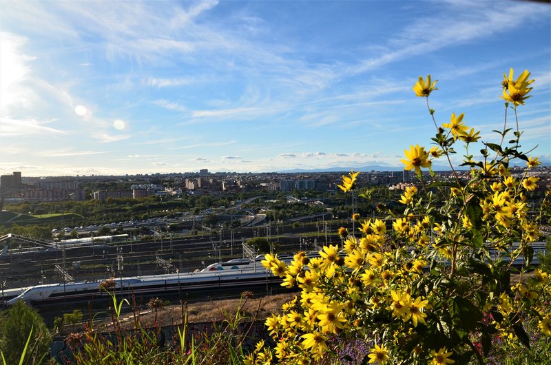 PARQUE EUROPA-2010/2015/2021-MADRID - Paseando por España-1991/2017 (175)