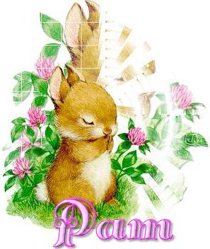Pam-Spring-Bunny