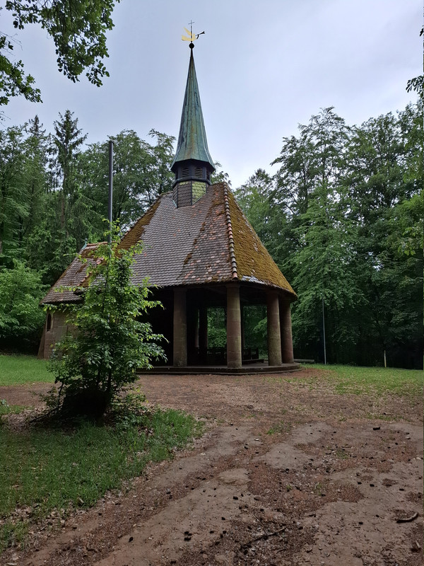 20260515-125302.jpg