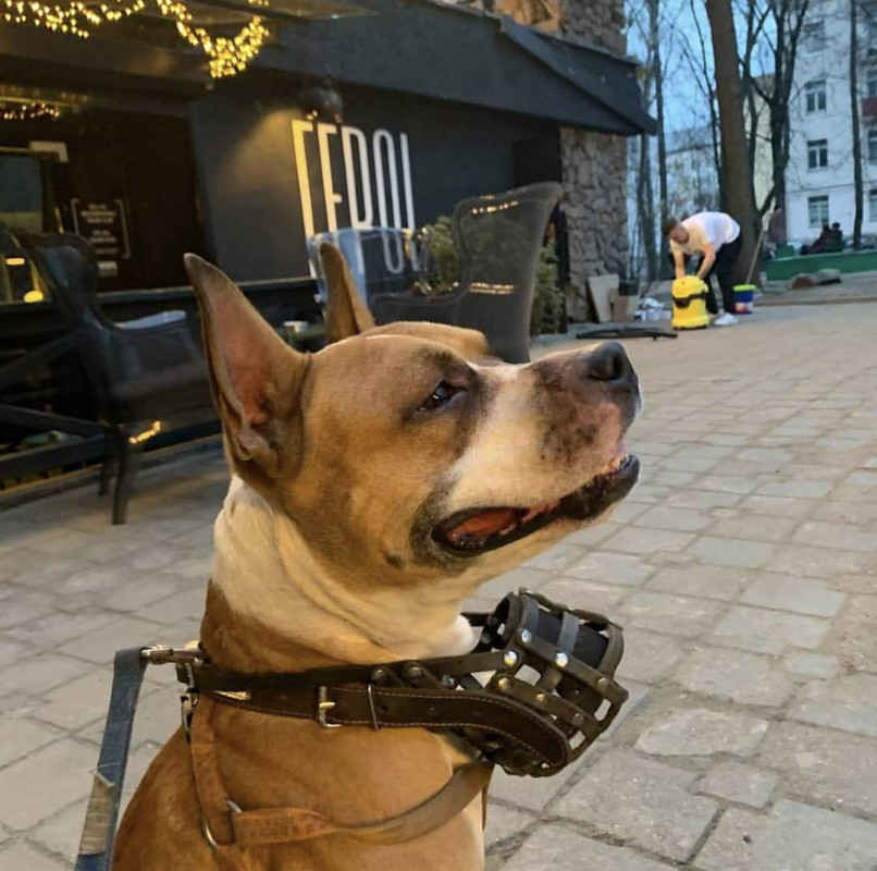 C0FDAFA4-6645-40C1-A5F0-71CAB313ACA4