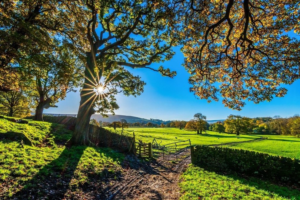 green-fields.jpg