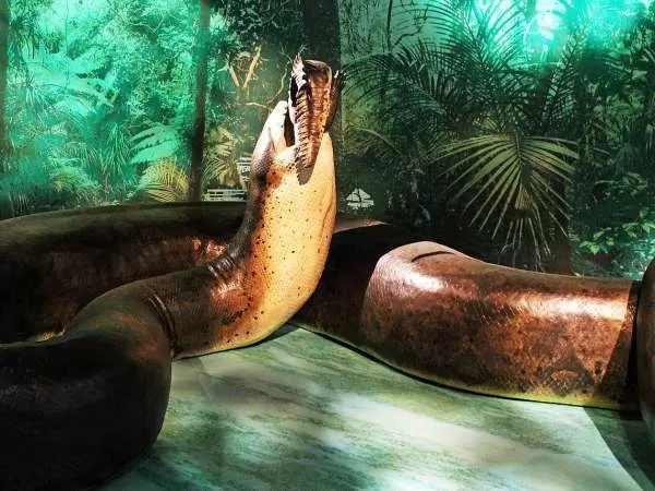 [Image: titanoboa-largest-snake-10354-3-1697303352.webp]