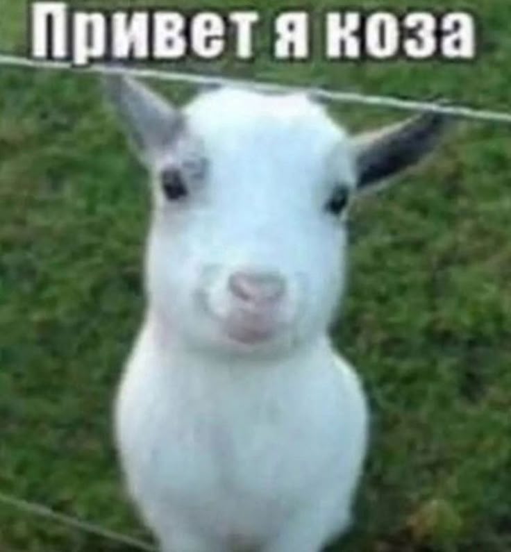 .