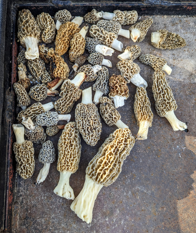 PXL_20240405_230022165~2