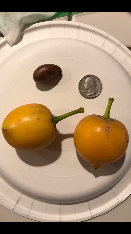 C2B0F414-9823-4481-8856-43201437522A