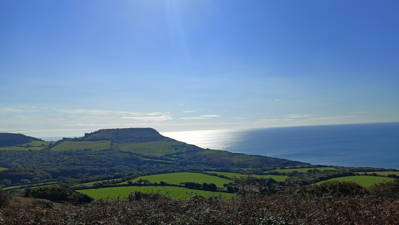 IMG20250924110858 (Large)