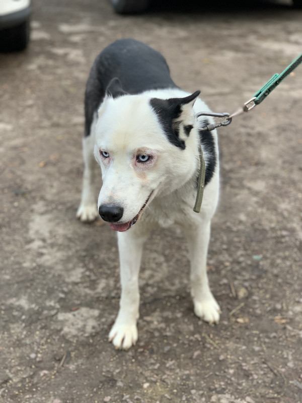 092CBDCC-6011-499E-80F2-550FBC2E3321