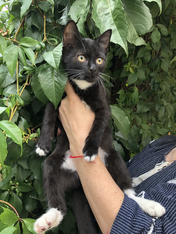 58100378-5AA1-4BE9-8618-59101A31905E