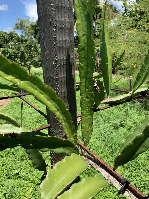 0AB4EEE5-CB17-4E39-962A-6A9D03F6F63A