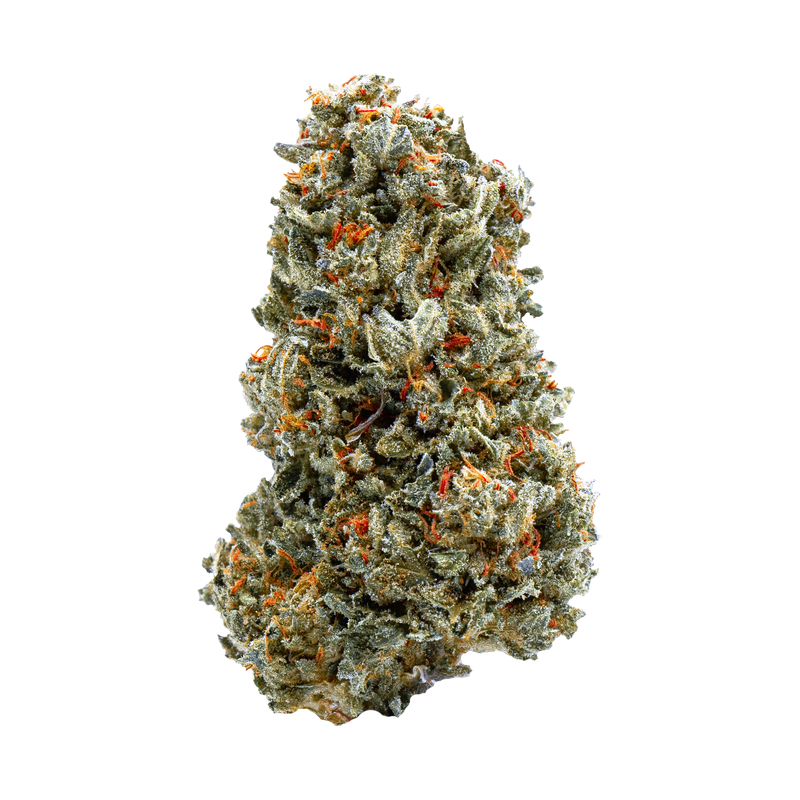 Northern Lights strain flower