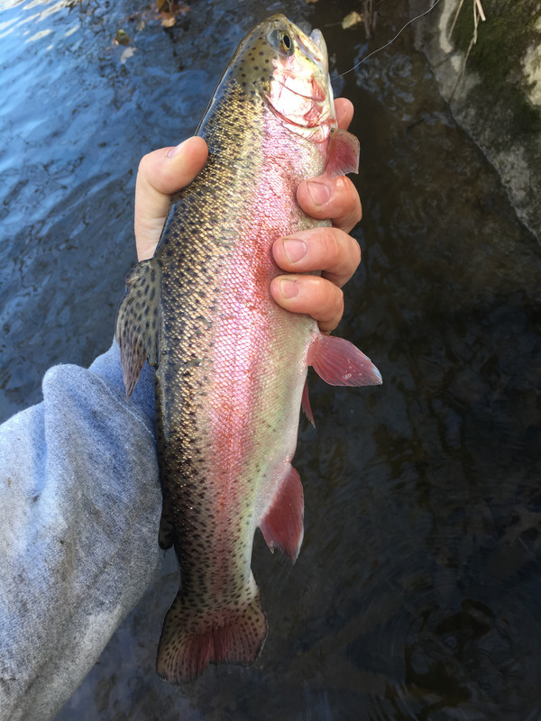 E808063B-B87F-4EA1-AC38-98C31DE9F950