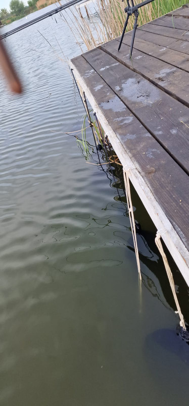 WhatsApp Image 2022-05-08 at 09.05.19 (1)