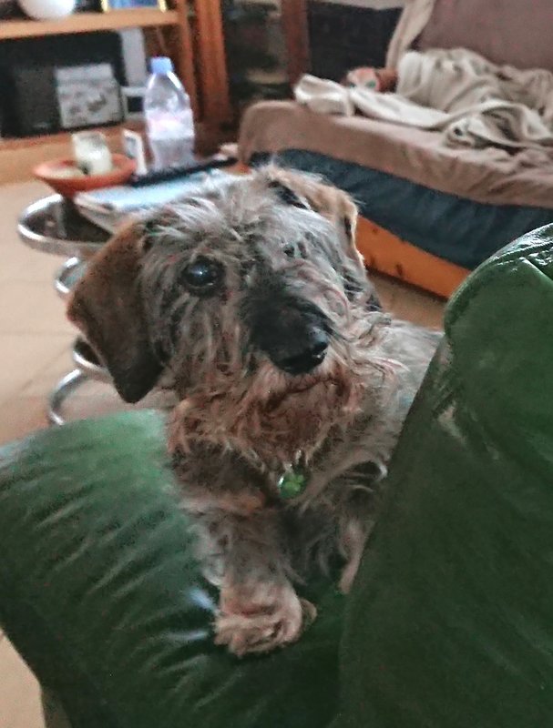 [Image: DSC-2140.jpg]