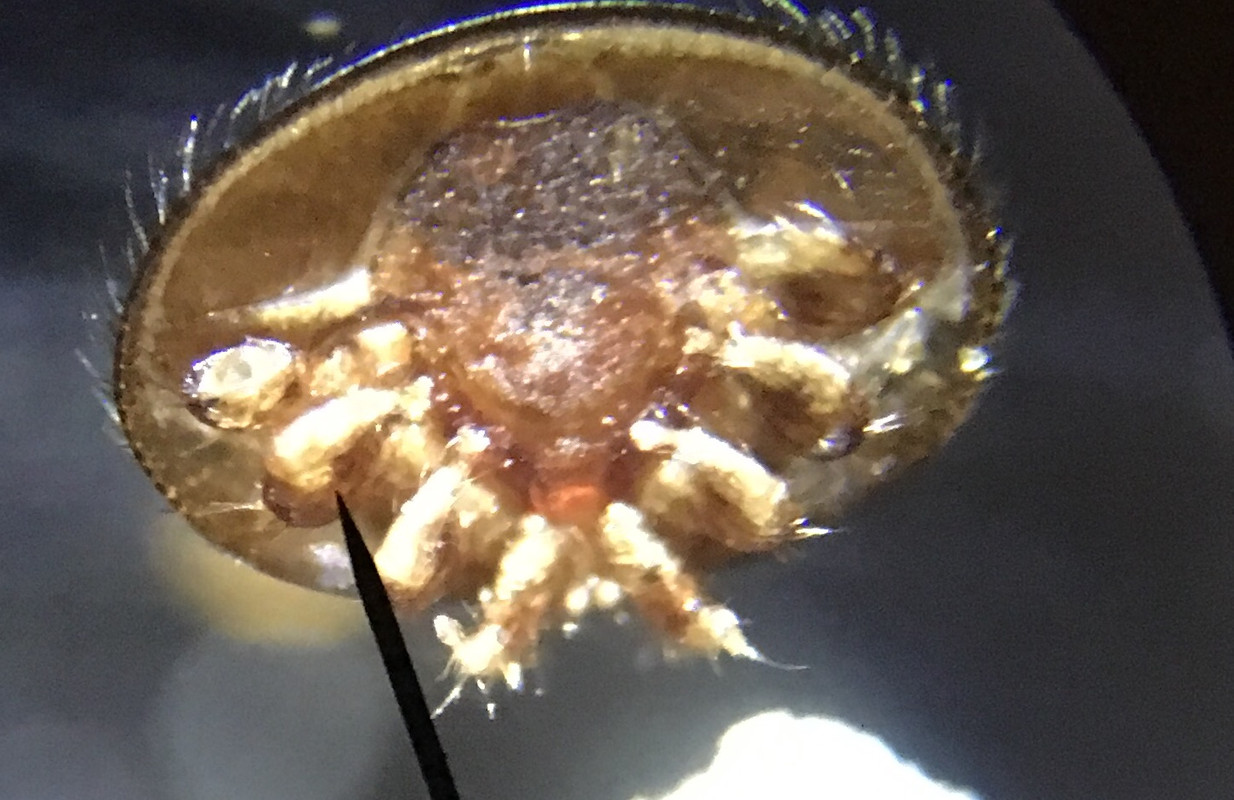 91563799-8440-4ADE-8779-DA5640D0B071