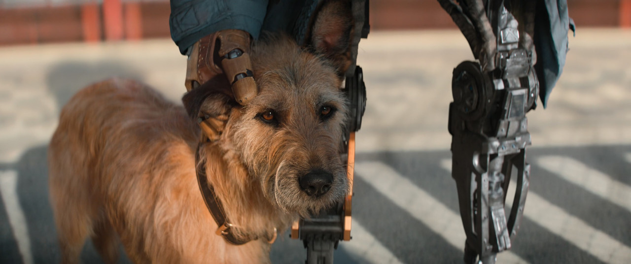 [HR] Finch (2021) [5D62B589]_01