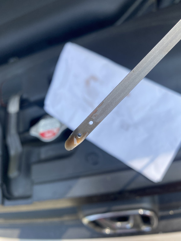 367CE168-500E-464C-A736-7CB0009C0D53