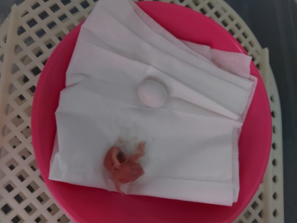 007f65ce-d9be-45d9-afe8-7804f5008148