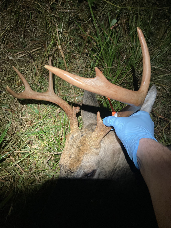 22214990-502D-4105-995B-4D86B5BDBB1F