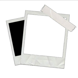 c892837fcd07381402fbbe46a1f6b77aaf238f28