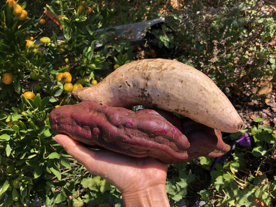 6F8B62CE-07E8-4735-8927-6CB175546DBB