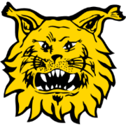 https://i.postimg.cc/KY5j14mw/Ilves-logo.png