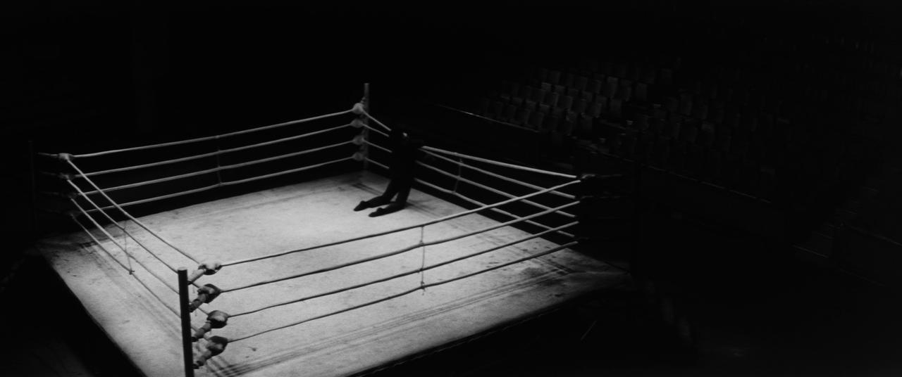 vlcsnap-2025-01-21-03h23m40s381