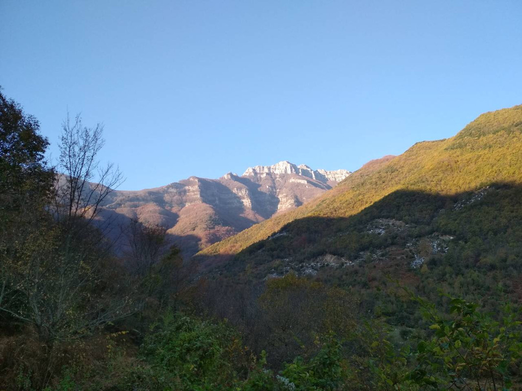 66143DDF-4152-43E7-965B-53782E3C6503