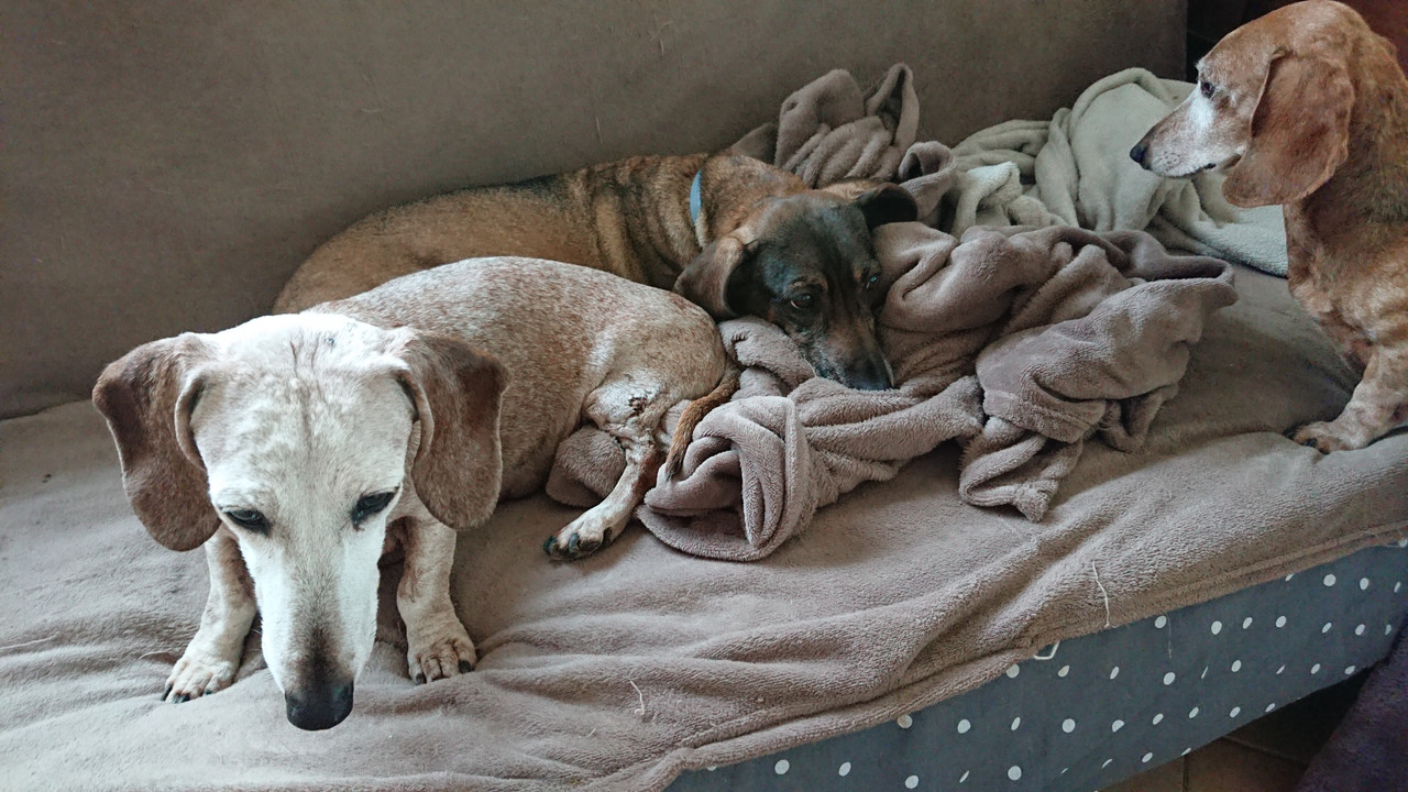 [Image: DSCPDC-0000-BURST20231215134648164.jpg]