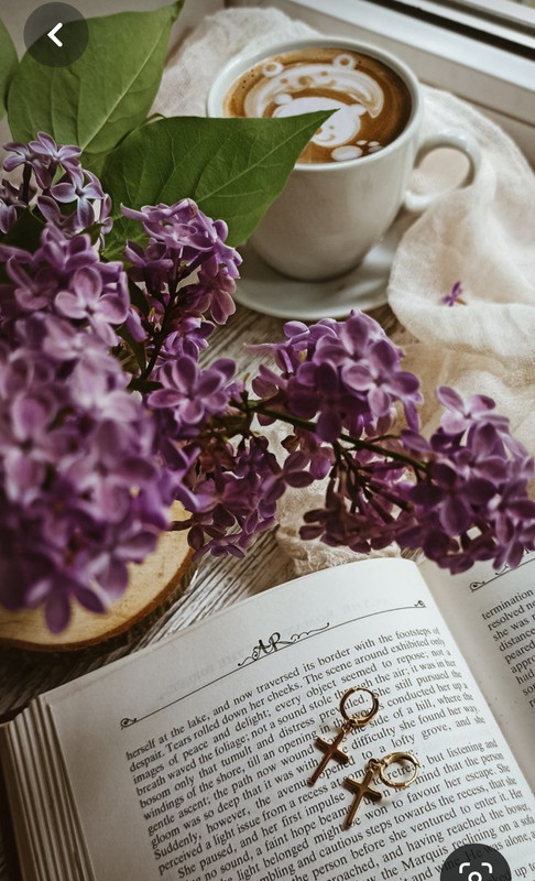 Screenshot_20230806_233141_Pinterest