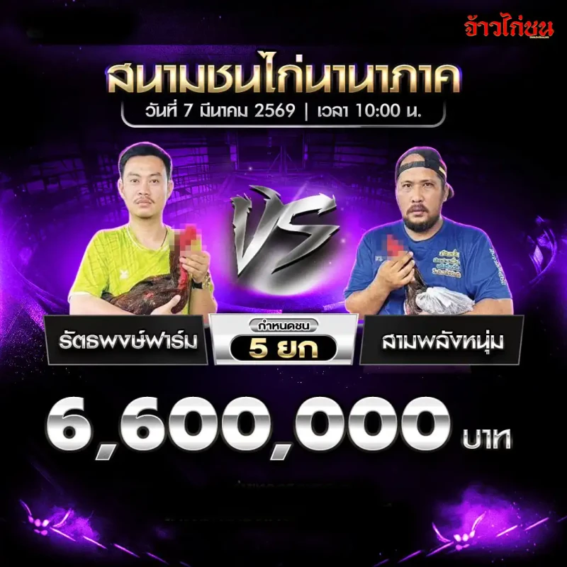 โปรแกรมไก่ชน คู่ รัตธพงษ์ฟาร์ม พบ สามพลังหนุ่ม สนามชนไก่นานาภาค 7 มีนาคม 2569