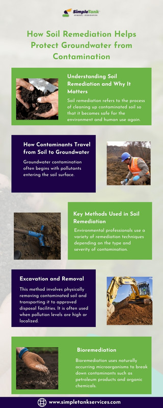 Soil Remediation infographic