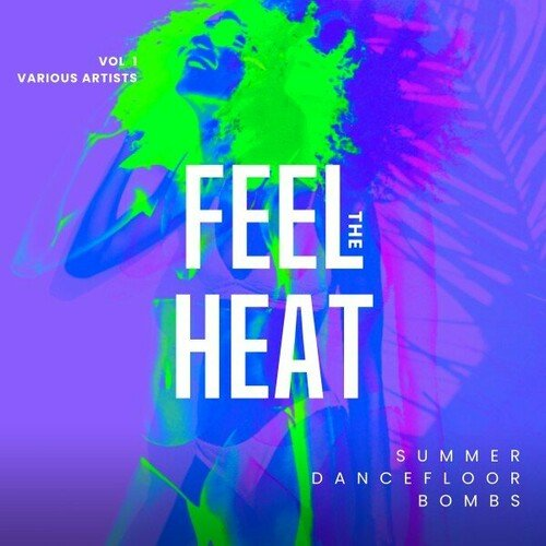 VA - Feel the Heat (Summer Dancefloor Bombs), Vol.1 (2024)