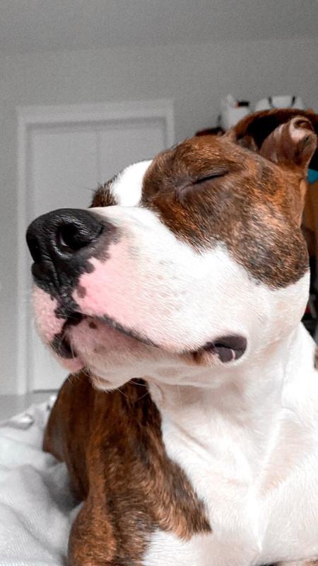 EEF3E744-88E7-4377-9541-BF59916FA533