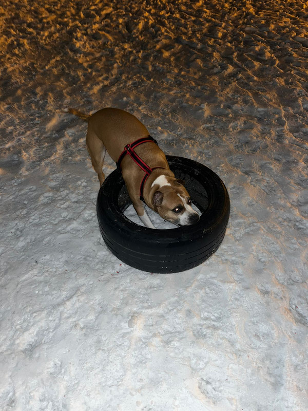 5C560B98-6C8F-4F2E-A2C2-E139C8ED687F