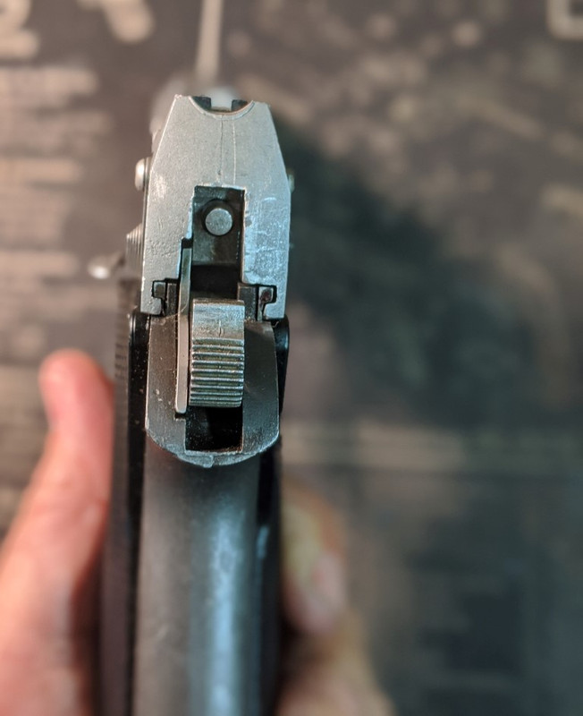 00100lrPORTRAIT_00100_BURST20200305173015740_COVER (2)