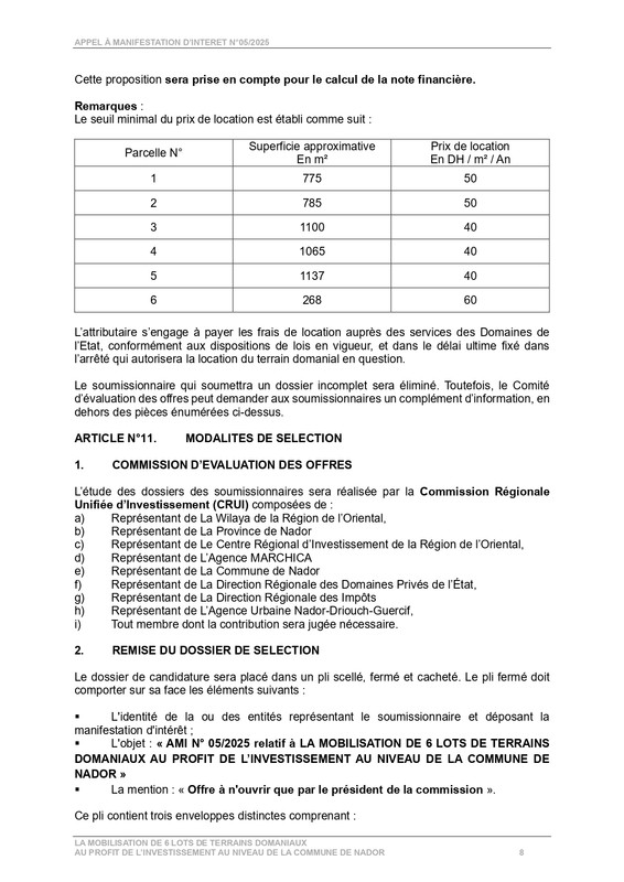 Details-appel-d-offre-CRI-Nador-page-0008