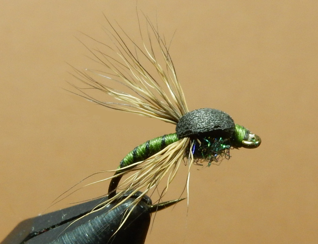 Vee-Wing-Emerger-1080.jpg