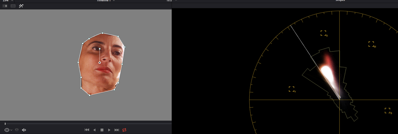 Panavision-DXL2.png