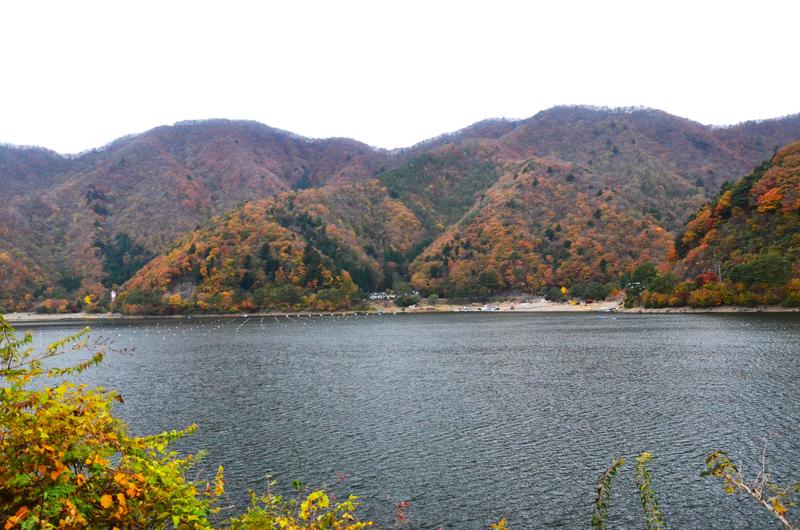 Lago Shōji-16-11-2024 - Japón y sus Pueblos-2024 (5)