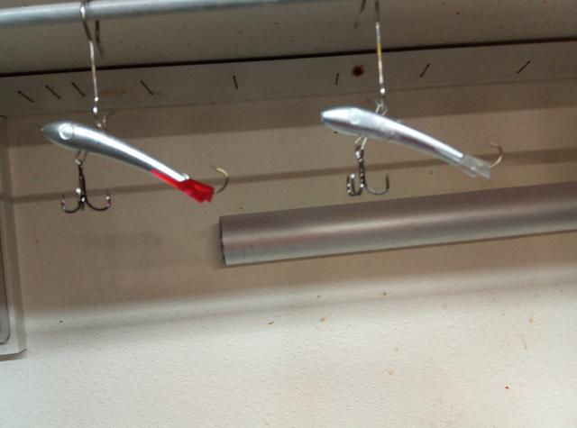 IMG_20191102_134119_8