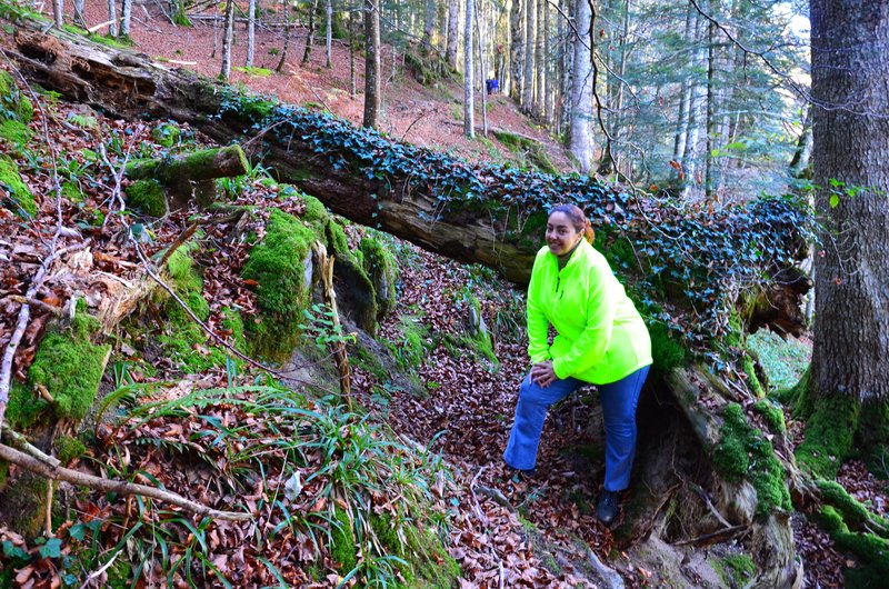 SELVA DE IRATI-14-11-2015-NAVARRA - Paseando por España-1991/2015-Parte-1 (45)